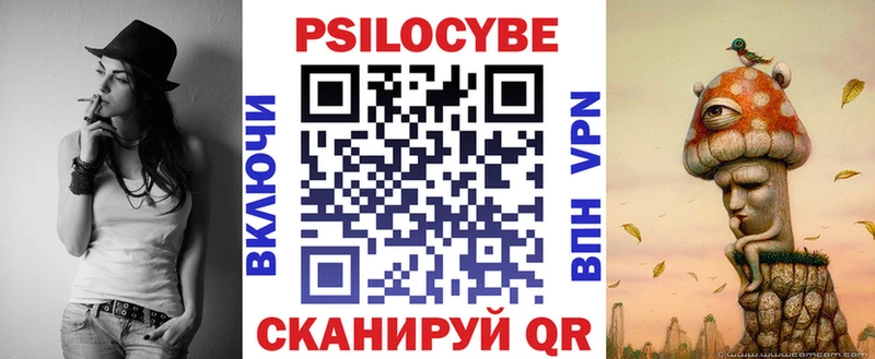 Галлюциногенные грибы Psilocybe Амурск